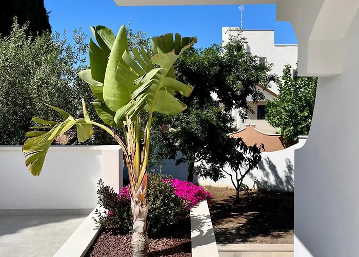 Casita בית הארחה